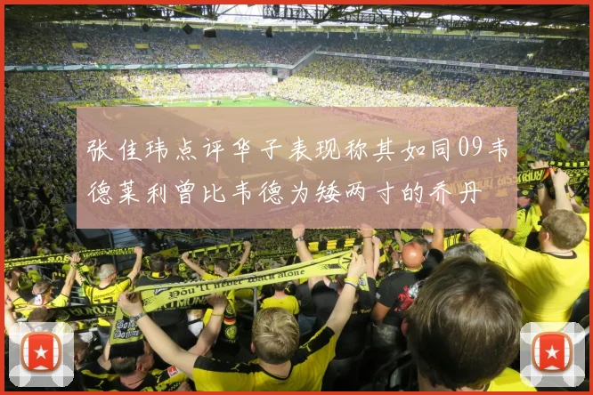 张佳玮点评华子表现称其如同09韦德莱利曾比韦德为矮两寸的乔丹